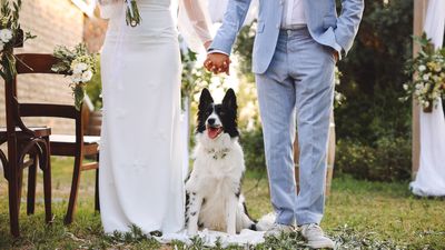 Dogs at weddings: The pros, the cons and tips for the big day