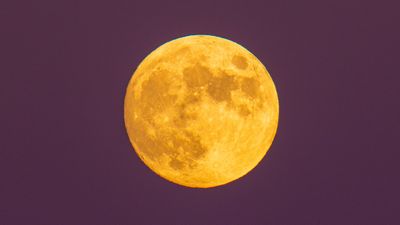 Beaver Moon 2024: See the final 'supermoon' of the year rise next to the 'Seven Sisters'