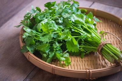 Are there any alternatives to fresh coriander? I hate the stuff …