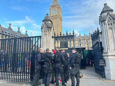 Armed police arrest man 'carrying knives' outside Parliament