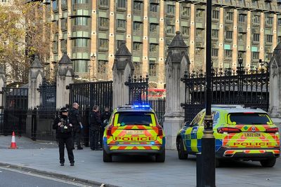 Man arrested after reports of person carrying knives outside Parliament