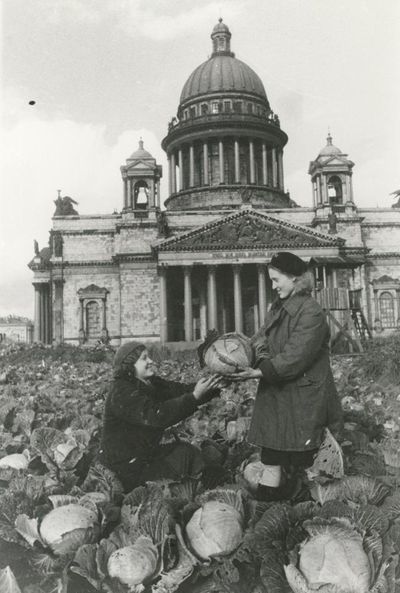 The inspiring scientists who saved the world’s first seed bank