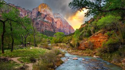 Fancy working with wildlife and plants in breathtaking landscapes? Grab a conservation job at Zion National Park