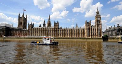 Man arrested after reports of person carrying knives outside UK Parliament