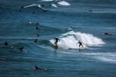 Surfboards With Bright Lights Could Deter Shark Attacks: Researchers