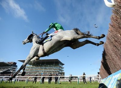 Paddy Power Gold Cup Trends Highlight Key 71% Weight Stat