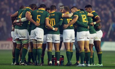 Rassie Erasmus calls on doctor to deliver message: Springboks are ready