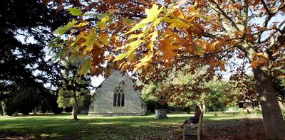 Autumn leaves are staying green for longer in Britain – here’s why