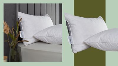 EarthKind Feather & Down Support Pillow review: an ethical spin on a traditional pillow type