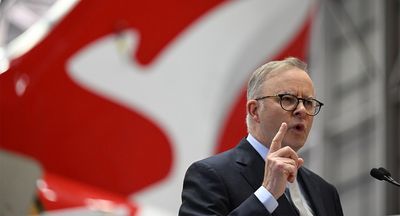 Labor, stop sweating the small stuff and use Rex to smash Qantas