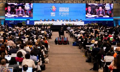 Meat, oil and pesticide industry lobbyists turned out in record numbers at Cop16