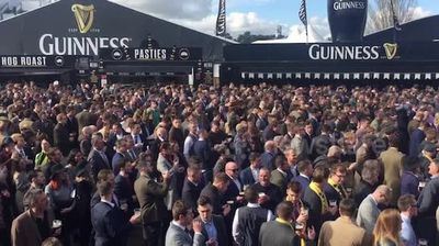 How Much Is A Pint Of Guinness At Cheltenham Racecourse?