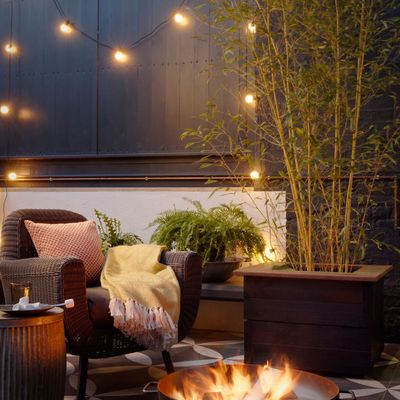 Can you put battery-operated lights outside in winter? The dos and don’ts to follow if you want to successfully brighten up your garden