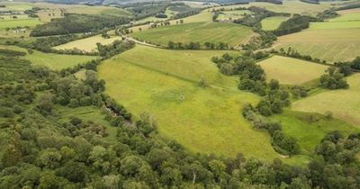 Proposals for £5m ‘luxury lodge’ holiday park in Borders unveiled