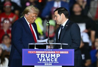 Donald Trump v Marco Rubio feud – the insults and how they became friends again