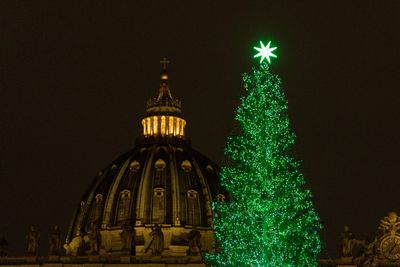 The Vatican picked its Christmas tree for 2024. That’s when the trouble started…