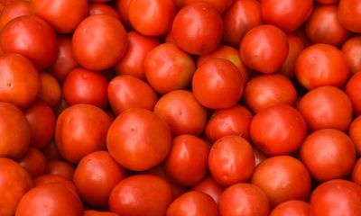 Scientists identify tomato genes to tweak for sweeter fruit