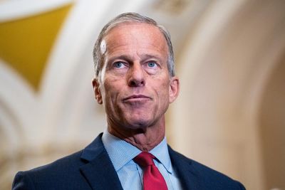 Senate Republicans elect John Thune as next majority leader