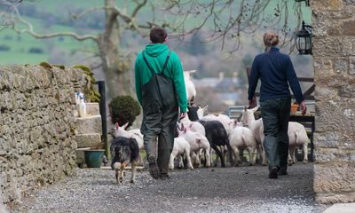 Tax changes are the straw that breaks UK farmers’ backs