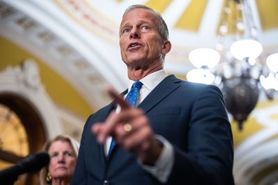 Thune wins Senate GOP leadership fight