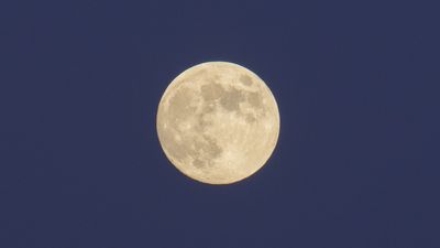 The final supermoon of 2024 rises tonight as November's Full Beaver Moon