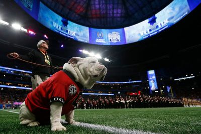 How Georgia’s playoff chances swing with win, loss vs. Tennessee