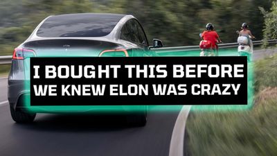 Anti-Elon Musk Tesla Bumper Sticker Sales Booming Post-Election