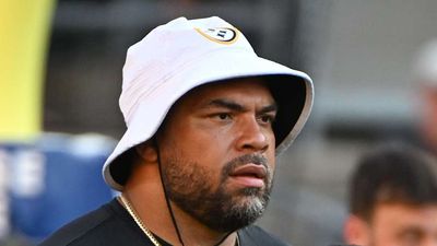 Steelers' Cameron Heyward Says There Was a Snake in Locker Room at Northwest Stadium