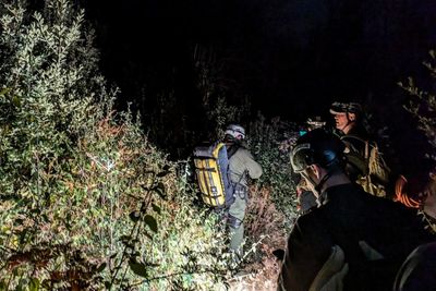 Missing gold panner rescued after two nights in California forest