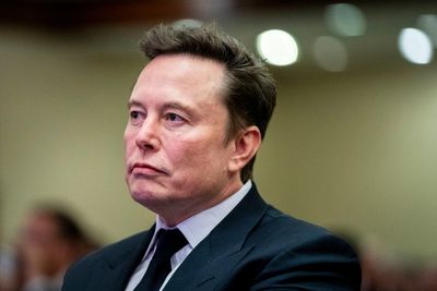 Elon Musk's Trump appointment may be a bad omen for Tesla