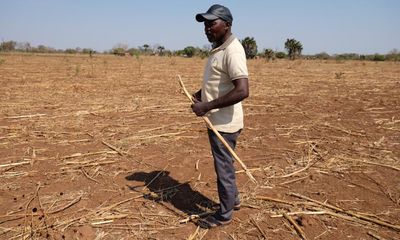 ‘I have lost everything’: southern Africa battles hunger amid historic drought