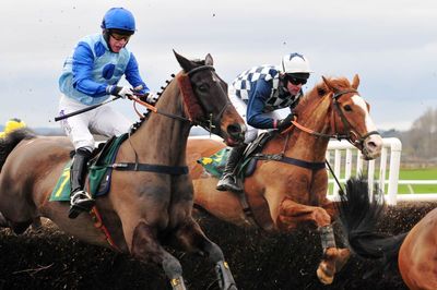 Racing Tips: Andrew Mount's Spreadex Analysis - Thursday, November 14th - Sportscasting UK