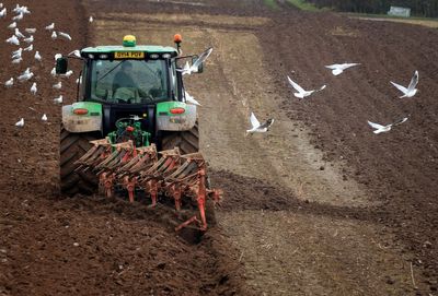 Confusion over how many farms will be hit by controversial tractor tax after ‘staggering’ admission