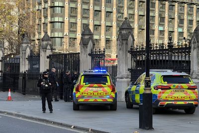 Man faces offensive weapons charges after knives incident outside Parliament