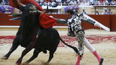 French lawmakers lock horns over bullfighting ban for children