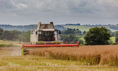 Farm income falls in England after extreme weather and subsidy cuts