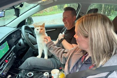 Owners’ joy as cat missing from Scottish home found 300 miles away in Coventry