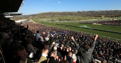 Andy Newton's Cheltenham Horse Racing Form Guide (15th Nov)