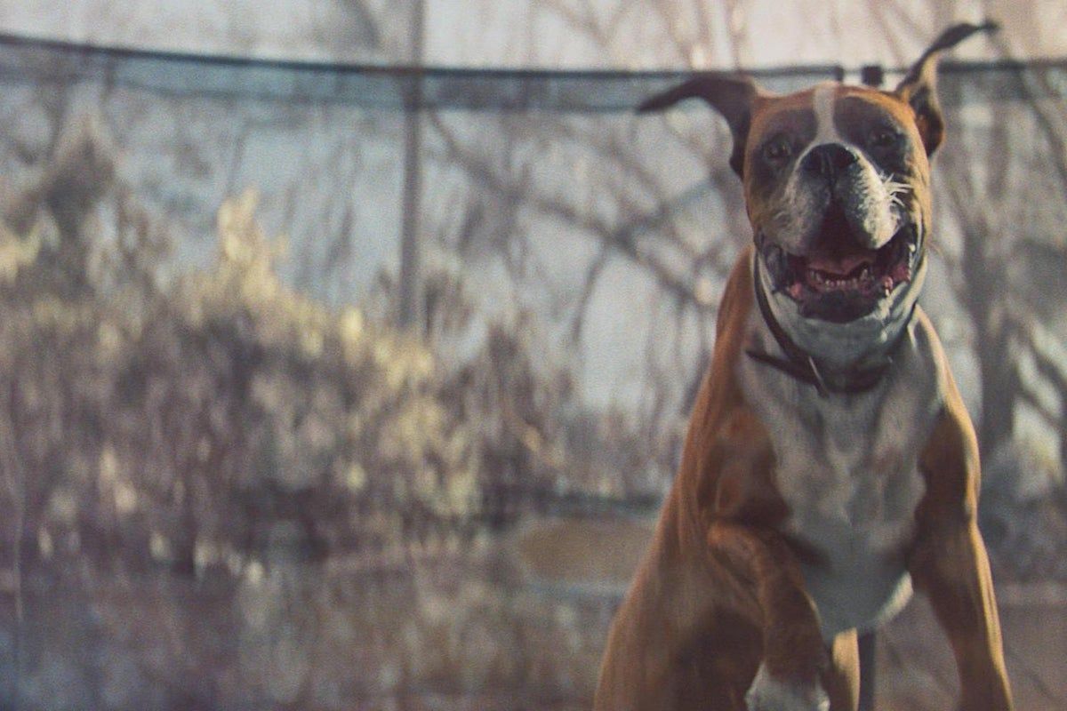 John Lewis Christmas adverts ranked we rate all 18…