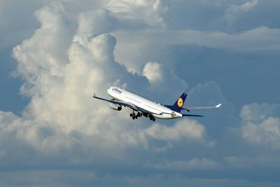 11 injured after severe turbulence on Lufthansa flight to Frankfurt