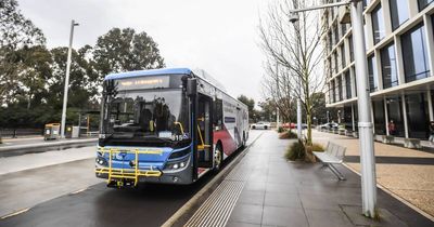 ACT bus drivers strike 'screaming for help' with violence faced on job