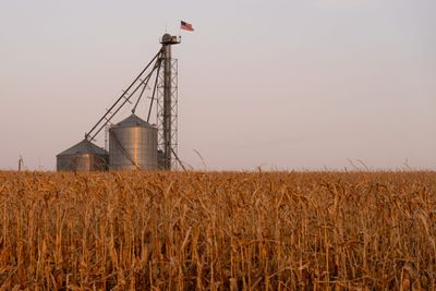 Trump's tariffs seen delivering a repeat blow to US farm exports - Roll Call