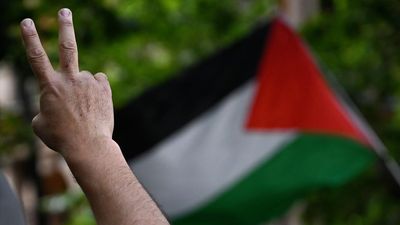 Minister defends UN vote for Palestine resource rights