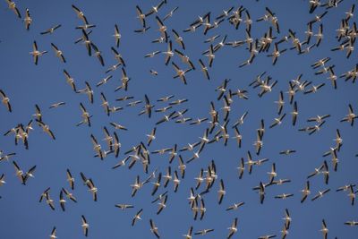 Nature Pays Price For War In Israel's North