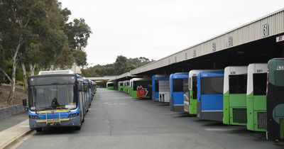 Greens blame Labor's inaction on driver safety for snap bus strike