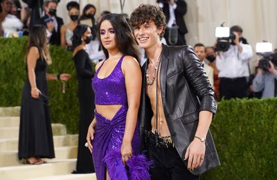 Shawn Mendes and Camila Cabello 'haven't been the closest' lately