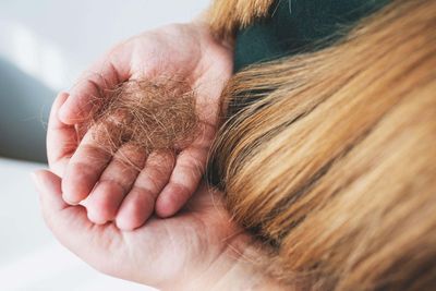 Why winter hair loss happens and how can you stop it