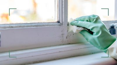 How to prevent mould in the house: 6 easy ways to stop spores growing this winter