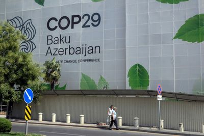 Oil Execs Work COP29 As NGOs Slam Lobbyist Presence