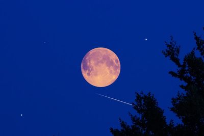 Final supermoon of 2024 coincides with Leonid meteor shower